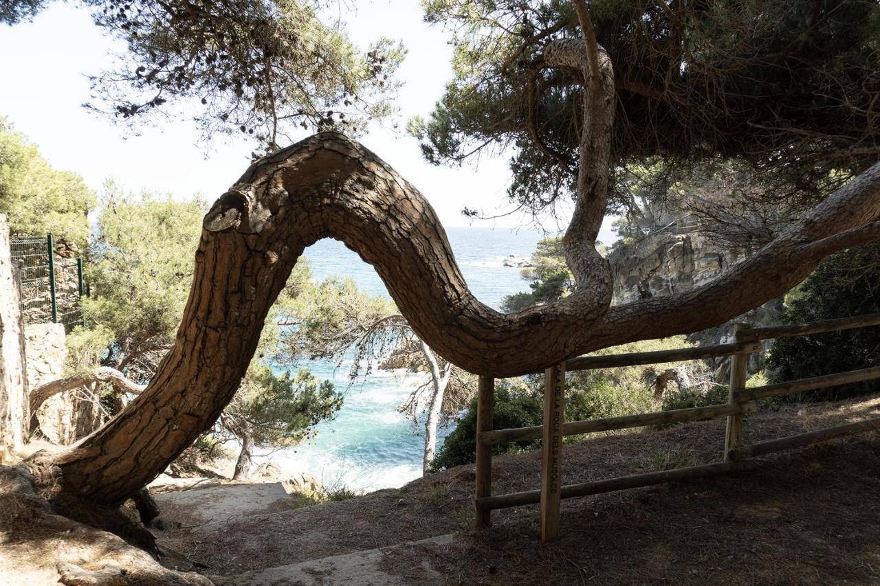 Apartamento Con Parking A 50M De La Playa Sant Antoni De Calonge Extérieur photo
